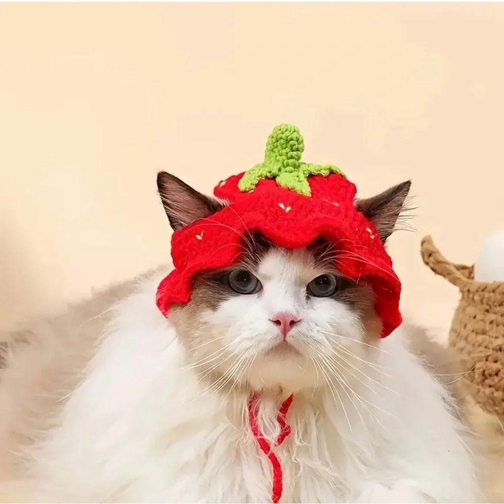 Red Strawberry Handcrafted Crochet Cat Dog or Small Pet Hat (Sm)